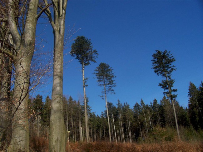 Skály Drátník, Kurz horského průvodce, Vysočina