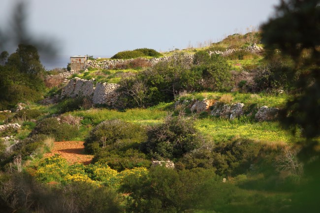 Victoria lines, lezení na ostrově Malta