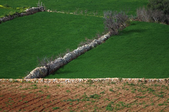 Victoria lines, lezení na ostrově Malta