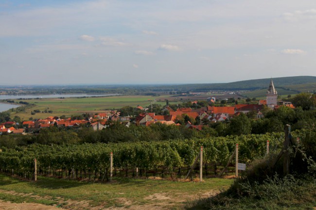 Pavlov, vinařská obec, Pavlovské vrchy, Pálava, Jižní Morava