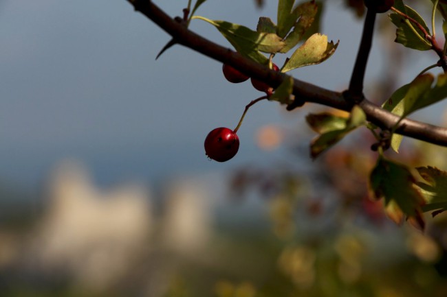 Stolová hora, Sirotčí hrad, Klentnice, Pálava, Jižní Morava