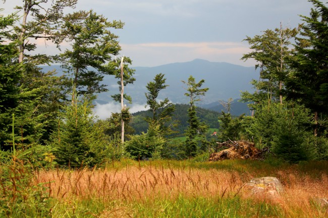 Lezení na skalách Kaitersberg, Bavorský les, Německo