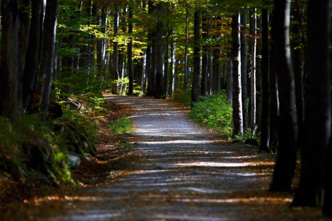Výstup na Luzný, Bavorský les, Šumava, Německo