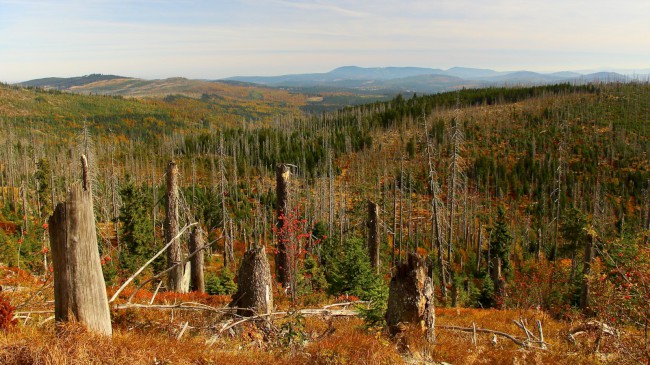 Výstup na Luzný, Bavorský les, Šumava, Německo