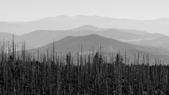 Výstup na Luzný, Bavorský les, Šumava, Německo
