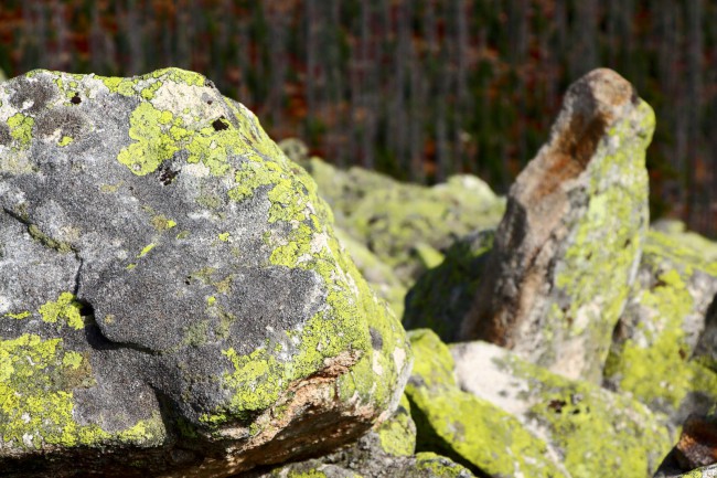 Výstup na Luzný, Bavorský les, Šumava, Německo