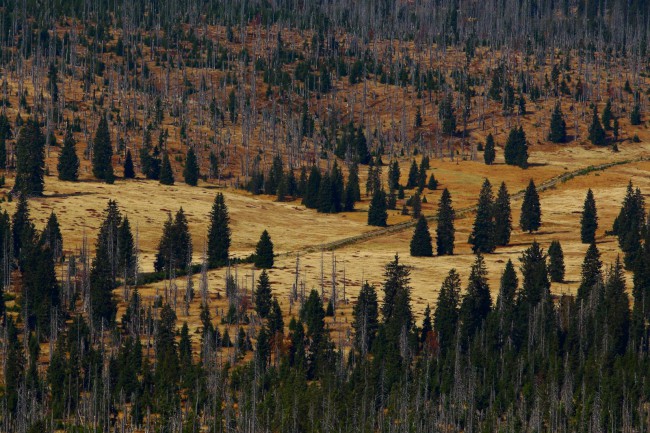 Výstup na Luzný, Bavorský les, Šumava, Německo
