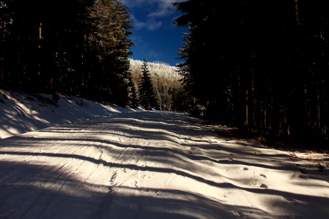 Výstup na Svaroh, Bavorský les, Šumava, Německo