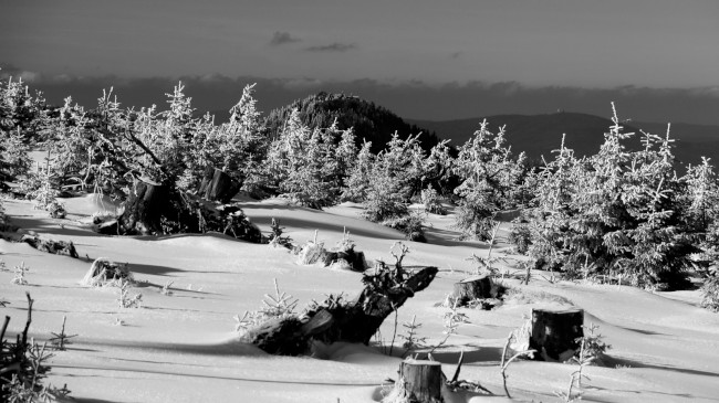 Výstup na Svaroh, Bavorský les, Šumava, Německo
