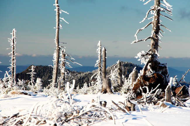 Výstup na Svaroh, Bavorský les, Šumava, Německo