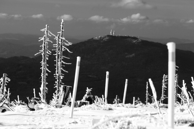 Výstup na Svaroh, Bavorský les, Šumava, Německo