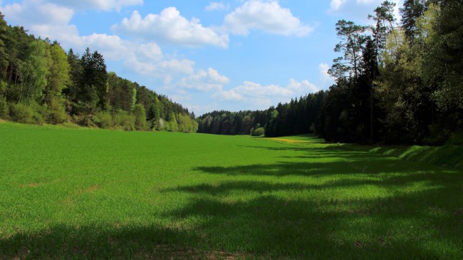 Lezení na skalách Alter Fritz, Frankenjura, Německo