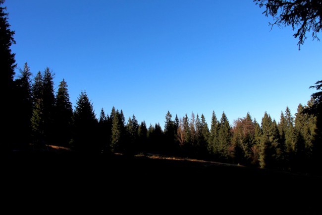 Velký Falkenstein, Bavorský les, Německo