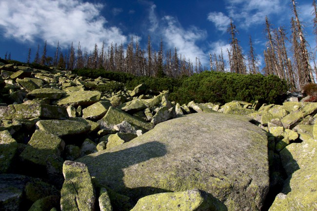 Kamenné moře, Bavorský les, Německo, Šumava, Jižní Čechy