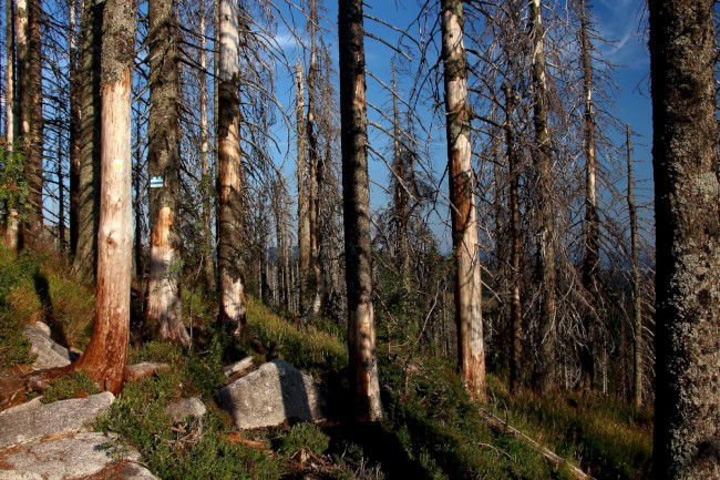 Kamenné moře, Bavorský les, Německo, Šumava, Jižní Čechy