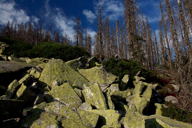 Kamenné moře, Bavorský les, Německo, Šumava, Jižní Čechy