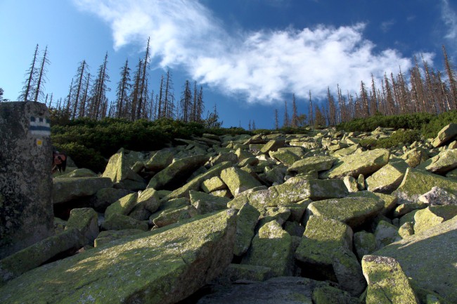Kamenné moře, Bavorský les, Německo, Šumava, Jižní Čechy