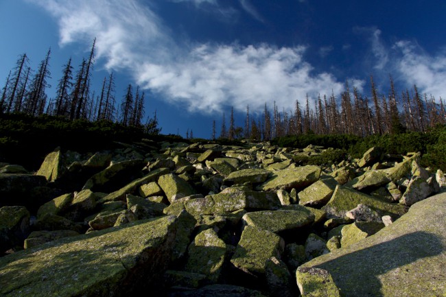 Kamenné moře, Bavorský les, Německo, Šumava, Jižní Čechy