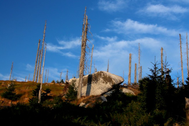 Kamenné moře, Bavorský les, Německo, Šumava, Jižní Čechy