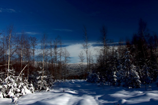 Výstup na horu Velký Roklan 1453m, Bavorský les, Německo