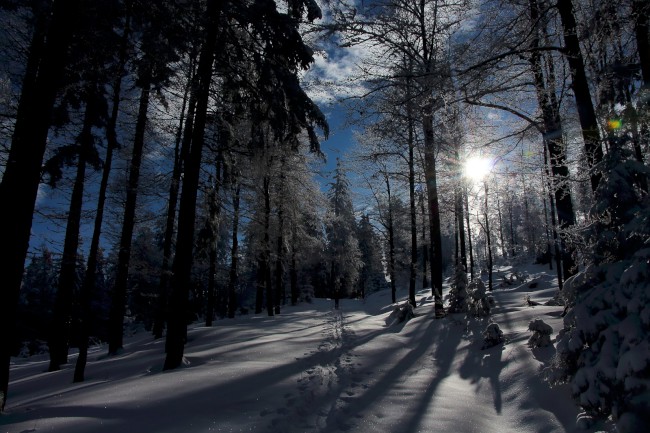 Výstup na horu Velký Roklan 1453m, Bavorský les, Německo