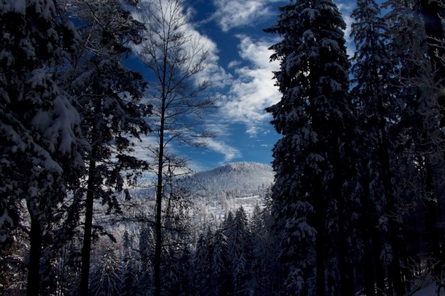 Výstup na horu Velký Roklan 1453m, Bavorský les, Německo