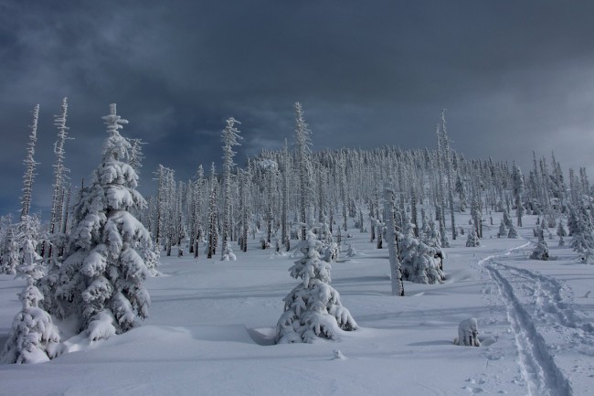 Výstup na horu Velký Roklan 1453m, Bavorský les, Německo