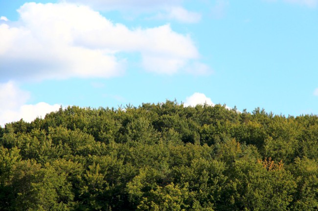 Betzenstein, lezení na skalách, Frankenjura, Německo