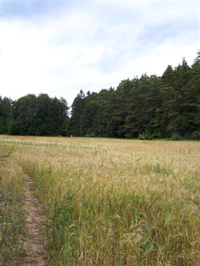 Lezení na skalách, Frankenjura, Německo