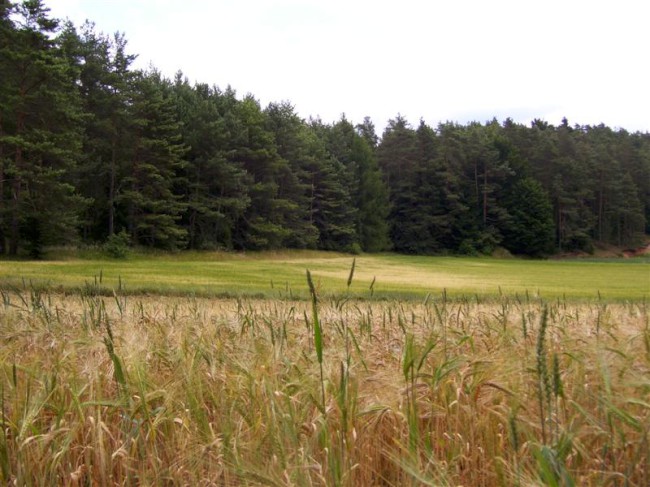 Lezení na skalách, Frankenjura, Německo