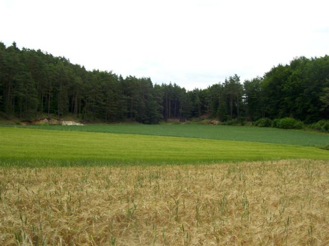 Lezení na skalách, Frankenjura, Německo