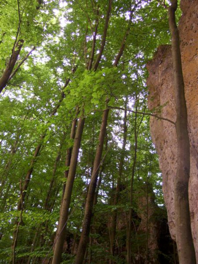 Lezení na skalách, Frankenjura, Německo