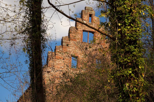 Zřícenina kláštera Limburk, Bad Dürkheim, Porýní-Falc, Německo