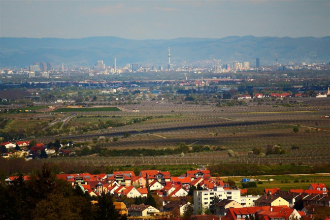 Zřícenina kláštera Limburk, Bad Dürkheim, Porýní-Falc, Německo