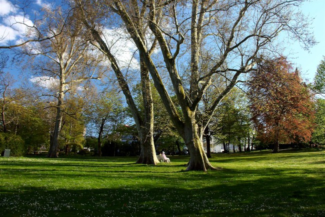 Zřícenina kláštera Limburk, Bad Dürkheim, Porýní-Falc, Německo