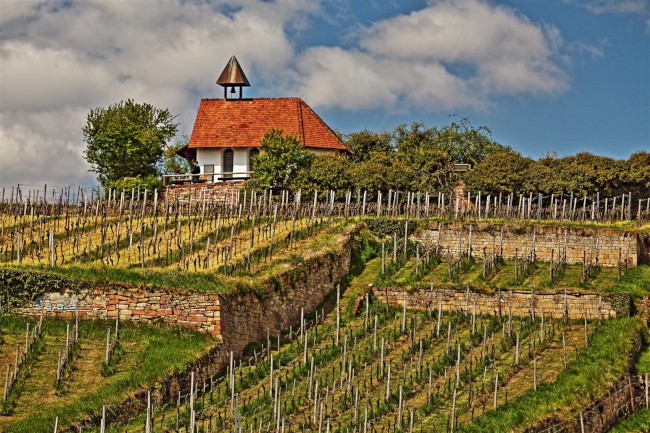 Zřícenina kláštera Limburk, Bad Dürkheim, Porýní-Falc, Německo