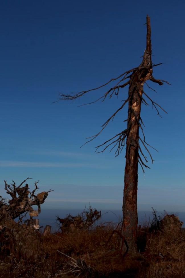 Výstup na horu Svaroh 1333 m, Šumava, Německo