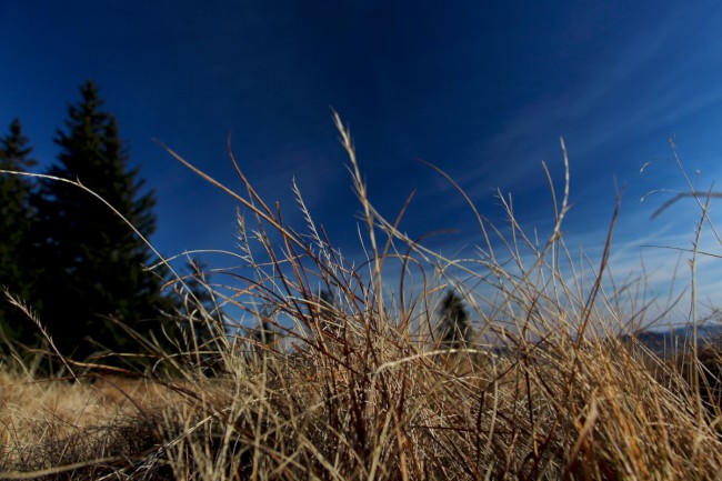 Výstup na horu Svaroh 1333 m, Šumava, Německo