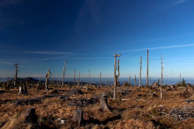 Výstup na horu Svaroh 1333 m, Šumava, Německo