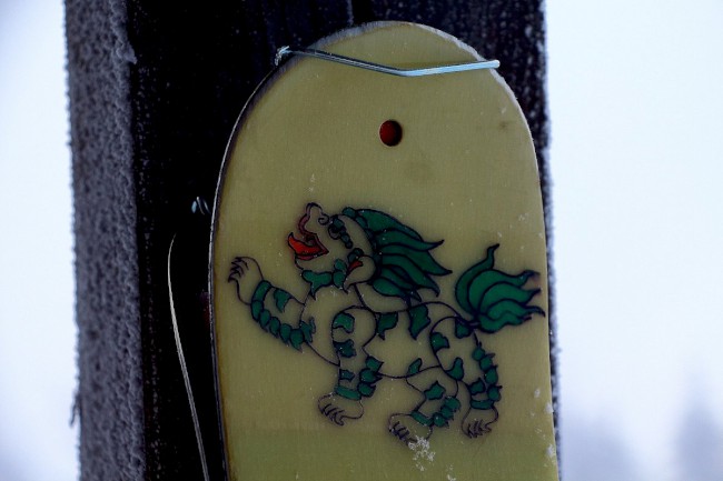 Skialpinisticky výstup na Velký Javor (Großer Arber), Šumava, Bavorsko, Německo
