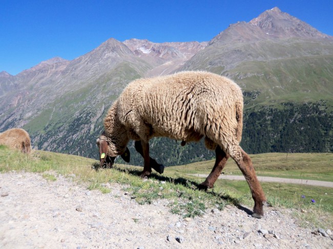 Vesnice Vent, Hochvent, Stablein, Wildspitze, Öetztálské Alpy, Tyrolsko, Rakousko