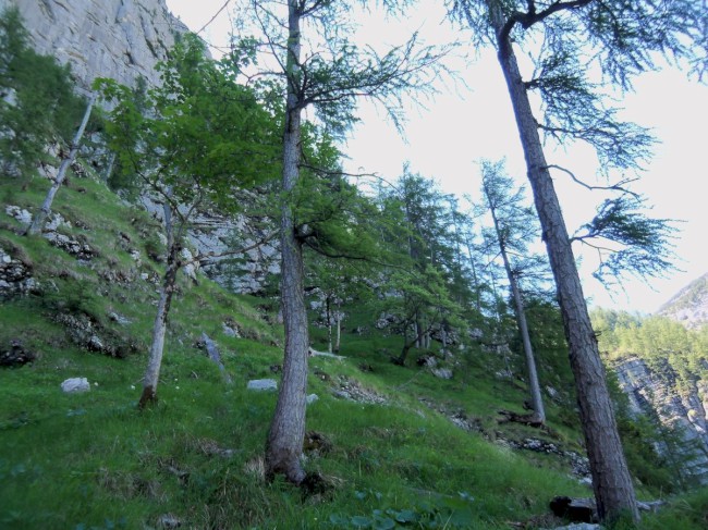 Seewand klettersteig, spodní část, Rakousko, Solná komora, Dachstein, Alpy