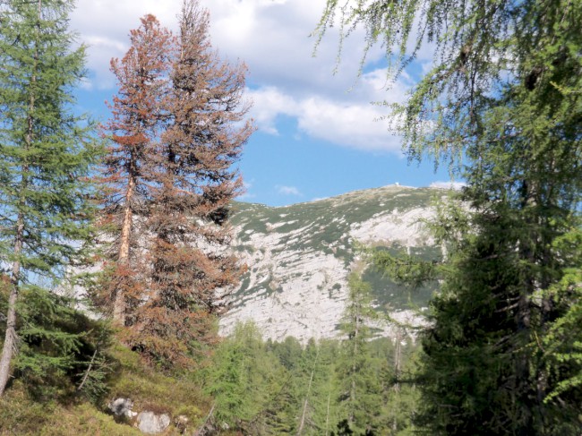 Seewand klettersteig, vrchol Auser Schonbichl 1785m, Rakousko, Solná komora, Dachstein, Alpy