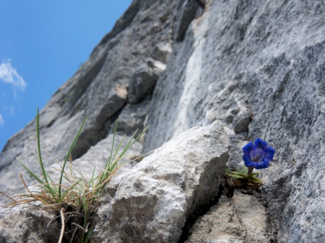 Seewand klettersteig, horní část, Rakousko, Solná komora, Dachstein, Alpy