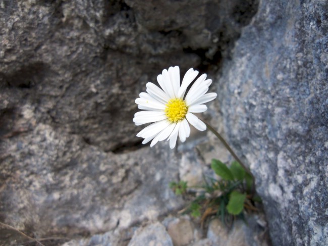 Seewand klettersteig, horní část, Rakousko, Solná komora, Dachstein, Alpy