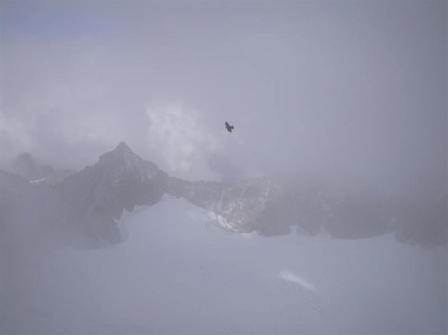 Vrchol Schrankogel (3496 m), Stubaiské Alpy, Tyrolsko, Rakousko