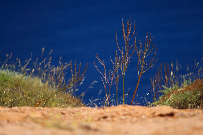 Poseidónův chrám, Mys Sounion, Řecko