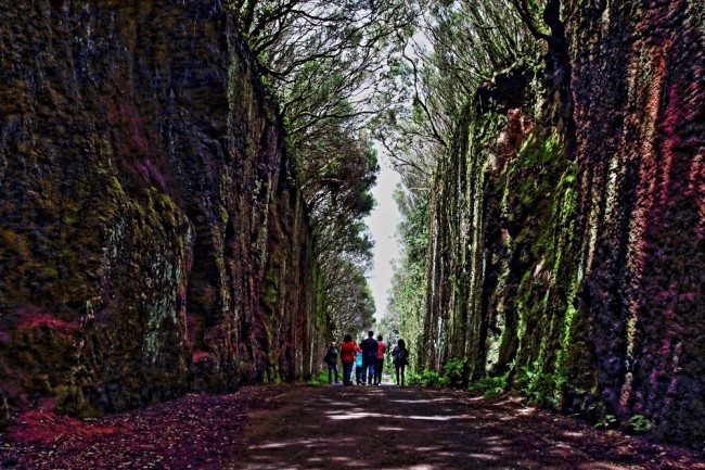 Výlet pohořím Macizo de Anaga, Tenerife, Kanárské ostrovy