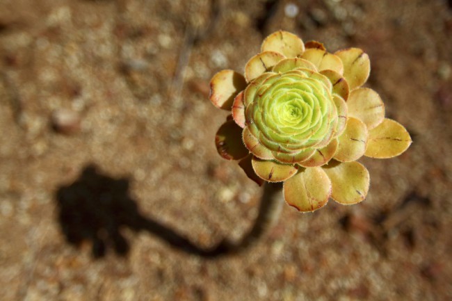 Výlet pohořím Macizo de Anaga, Tenerife, Kanárské ostrovy