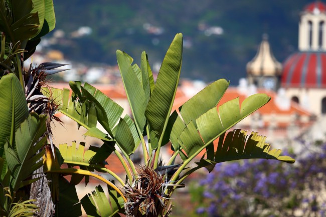 La Orotava, Tenerife, Kanárské ostrovy, Španělsko